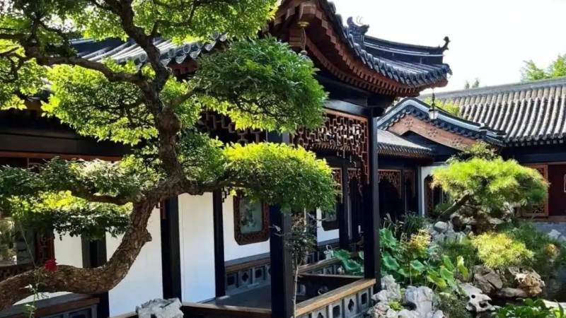麻将胡牌规则怎么看？从牌型结构到听牌判断的完整讲解